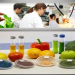 Día Mundial de la salud: Aporte de los productos biotecnológicos