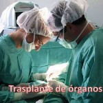 Trasplante de órganos