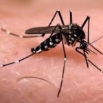 Chikungunya, dengue y guerra bacteriológica