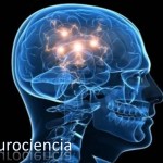 Neurociencia: reserva cognitiva