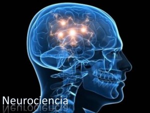 Neurociencia