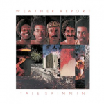 Man In The Green Shirt – Weather Report