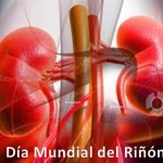 Día Mundial del riñón