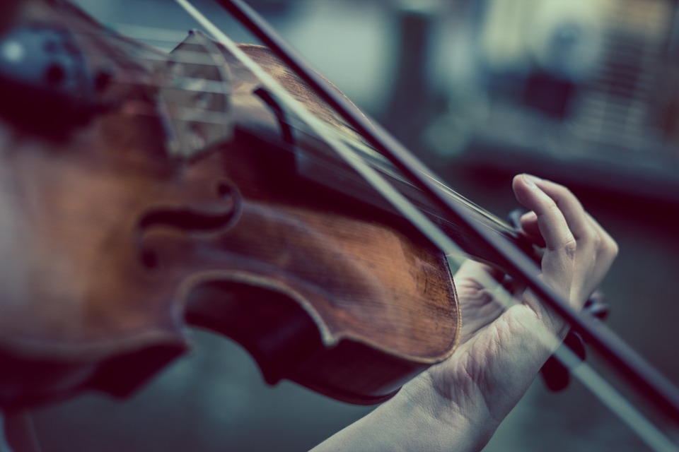 Violinista