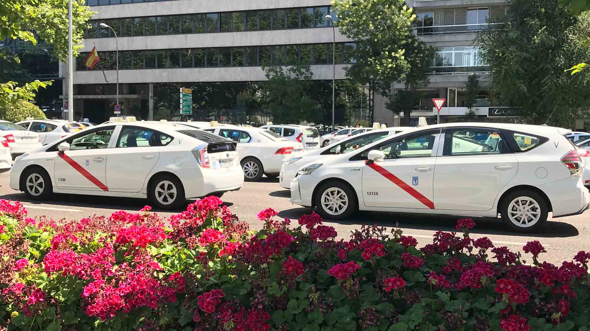 Por amor a los taxis (I) - Andrés Miguel Rondón