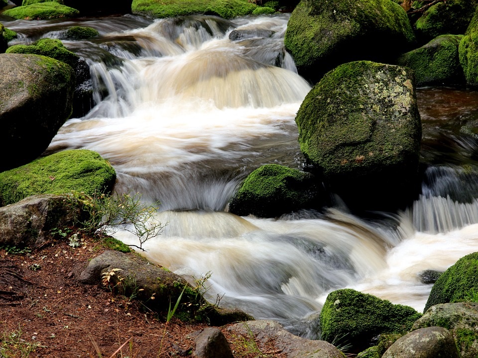 Las aguas de un mismo río - Fernando Rodríguez