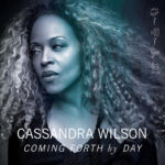What A Little Moonlight Can Do – Cassandra Wilson