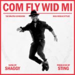 Come Fly With Me / Fly Me To The Moon – Shaggy